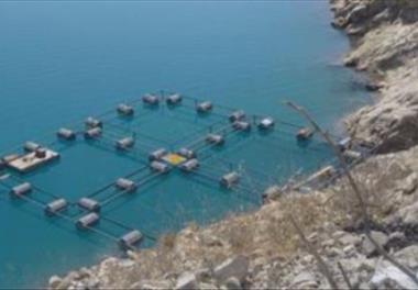 انتخاب مکان استقرار قفس‌هاي شناور پرورش ماهي در درياچه سد مارون – خوزستان