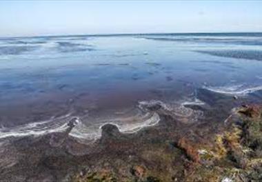 بررسی امکان توسعه آبزی پروری در خلیج گرگان – فاز 2