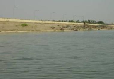 امکان سنجی و توسعه پرورش قزل آلای رنگین کمان در قفس آبهای پشت سد گلستان