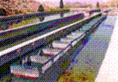 کاربرد ضایعات عمل آوری شده غلات در جیره غذایی ماهیان پرواری قزل آلا