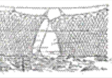 بررسی اندازه چشمه مناسب دام گونه تاسماهی ایرانی ( قره برون )