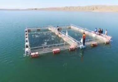 ارزیابی اثرات زيست محيطي پرورش ماهي در قفس شناور در منطقه جنوبي درياي خزر (استان مازندران)