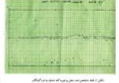 تعیین ترکیب طولی و گونه ای تورهای گوشگیر شیری دوطبقه در منطقه دیر 
