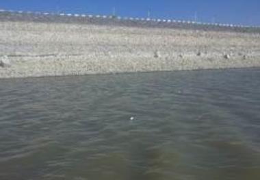 بررسی شرایط زیستی مخزن  سد گلستان بر اساس تولیدات اولیه  