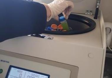 بررسی اثرات آنتی اکسيدانی و سيتوتوکسيسيتی پلی‌ساکاریدها و پپتيدهای استخراج شده از ميکروجلبک کلرلا ولگاریس بر روی سل لاین سرطانی کولون در شرایط آزمایشگ