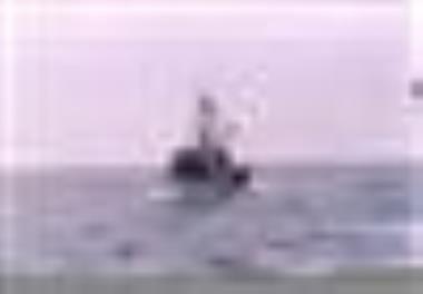 بررسی امکان انجماد و نگهداری اسپرم دو گونه از ماهیان خاویاری: قره برون Acipenser Persicus