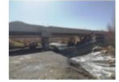 بررسی فراوانی، سن، رشد، تغذیه و رسیدگی جنسی  ماهیان شاخه‌های رودخانه سیروان (سد ژاوه-سنندج 1403-1402)  