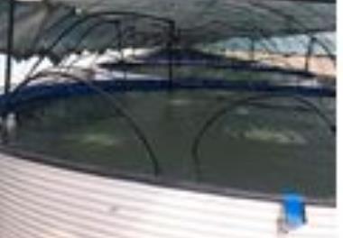 بررسی کارایی استخرهای نوزادگاهی (نرسری) احداث شده در استان هرمزگان