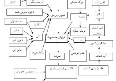  مرور و تحلیل مطالعات هیستوپاتولوژی بیماری لکه سفید در مراکز تکثیر و مزارع پرورش میگو در ایران