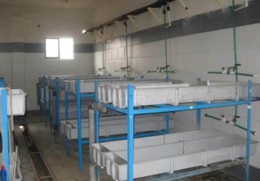 مطالعه وضعیت بهداشتی و بیماری های ماهی آزاد دریای خزر (Salmo trutta caspius) از مرحله صید و تکثیر  مولدین تا رها سازی بچه ماهیان به دریا