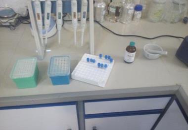 بررسی صفت سن بلوغ در پیش‌مولدین قزل‌آلای رنگین‌کمان در مزارع پرورشی به روش مولکولی و بیوانفورماتیک