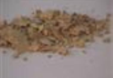 دستیابی به دانش فنی تولید پروتئین تک یاخته از باقیمانده ماهیان دریایی و پرورشی 