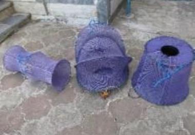 شناسایی، پراکنش، فراوانی  و زیتوده میگوی غیر بومیMacrobrachium nipponense  در تالاب انزلی