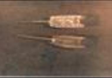 ردیابی بیماری لکه سفید (White Spot Syndrome Disease) در میگوی پرورشی سفید هندی (Penaeus indicus) 