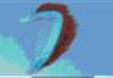 شناسائی و تعیین پراکنش شگ ماهیان (جنس Alosa) در سواحل جنوبی دریای خزر (استانهای مازندران و گلستان) 