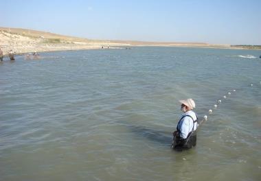 امکان سنجی پرورش ماهی در قفس در دریاچه های پشت سدهای ارس، حسنلو و شهید قنبری استان آذربایجان غربی با تعیین عوامل غیر زیستی