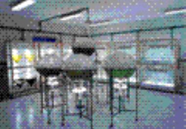 کشت و پرورش جلبک و بررسی جنبه های اقتصادی آن با تأکید برجلبکهای سبز و سبزـ آبی