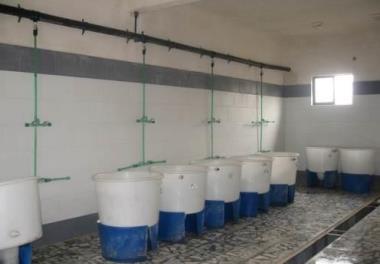 مطالعه وضعیت بهداشتی و بیماری های ماهی آزاد دریای خزر (Salmo trutta caspius) از مرحله صید و تکثیر  مولدین تا رها سازی بچه ماهیان به دریا