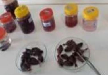 عنوان دستورالعمل فنی: روش رنگ‌آمیزی ساختارهای سخت (استخوان و غضروف) در ماهیان استخوانی به منظور مطالعات آرایه‌شناسی