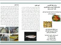 طرح ترویج فرهنگ مصرف فرآورده های متنوع از کپور ماهیان در استان گیلان (خاتمه یافته)