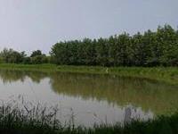 بررسی تاثیر ماده لالسی بایورم بر تولید فیتوپلانکتون های ریزجثه در استخرهای پرورش ماهیان گرم آبی