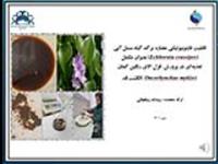 اسلاید ویژن: قابلیت فایتوبیوتیکی عصاره برگ گیاه سنبل آبی بعنوان مکمل تغذیه ای در پرورش ماهی قزل آلای رنگین کمان انگشت قد