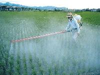  اثرات آلایندگی سموم کشاورزی (ارگانوکلره وارگانوفسفره) بعنوان تهدید جدی بر سلامت آبزیان