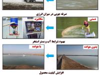 مهم ترین مزایای  مکانیزاسیون در مزارع پرورش میگو