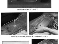 دستنامه فنی کنترل جنسیت در آزاد ماهیان