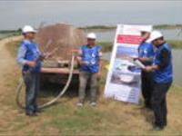 دلايل استفاده از شيرابه كود گاوي