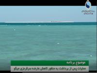 عملیات پس از برداشت به منظور کاهش عارضه سرقرمزی میگو