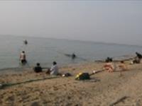 پوستر بهره برداری پایدار و مسئولانه از ذخایر ماهیان سطح زی ریز   (ساردین و موتو ماهیان)