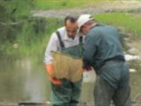 ادامه پیشینه تحقیقات