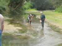 ادامه پیشینه تحقیقات