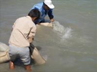 مستند طرح ترویجی جلب مشارکت های مردمی در بازسازی ذخایر تالاب هورالعظیم 