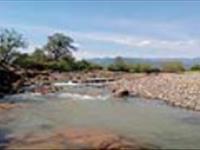 پوستر:  ماهیان رودخانه خاله سرا تالش 