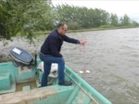 اندازه گيري شفافيت آب  با سي شي ديسك