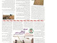 چاپ مقاله در مجله مروج  شماره 63