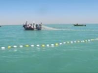 صید و هندلینگ ساردین ماهیان 