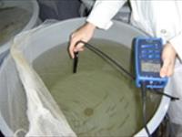 مقايسه فاكتورهاي رشد بچه ماهيان سفید دو نژاد پائيزه و بهاره