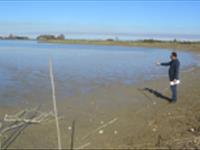 طرح ترويجی افزايش توليد در واحد سطح ماهيان گرم آبي(كپور،فيتوفگ،آمور و سرگنده) با استفاده از سيستم مكانيزاسيون در آب بندانهاي استان مازندران