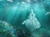 پوستر: میکروپلاستیک ها  تهدیدی برای اقیانوسها و دریاها