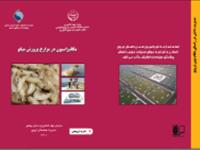 مکانیزاسیون در مزارع پرورش میگو