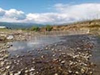 پوستر : ماهیان مهاجر به رودخانه خاله سرا تالش 