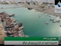 مدیریت صید در مزارع پرورش میگو