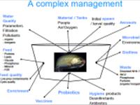 مدیریت صحیح در آبزی پروری (Best Management Practices)