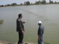 اكسيژن دهي از كف در آب بندانهاي تابعي بدليل كاهش سطح آب