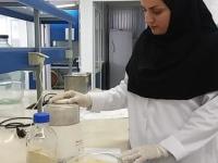 ارتقاء ارزش تغذیه ای ماکارونی صنعتی با استفاده از  کنسانتره پروتئین ماهی (FPC) 