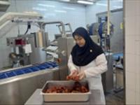 فرآیند تولید دودی گرم صنعتی ماهی خاویاری