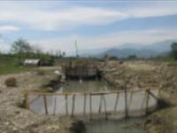 پیشینه تحقیقات